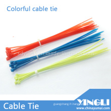 Attaches de câble en nylon autobloquantes colorées